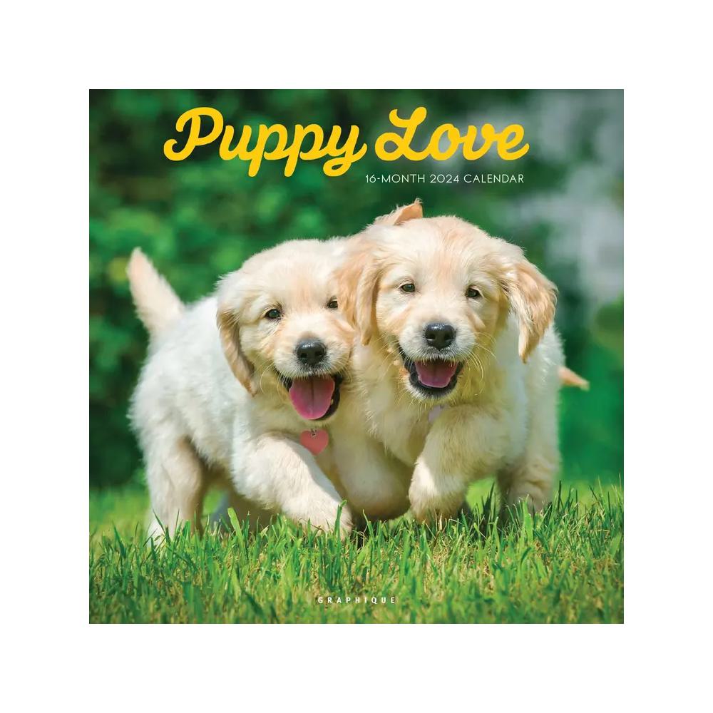 Graphique 2024 Calendar Puppy Love